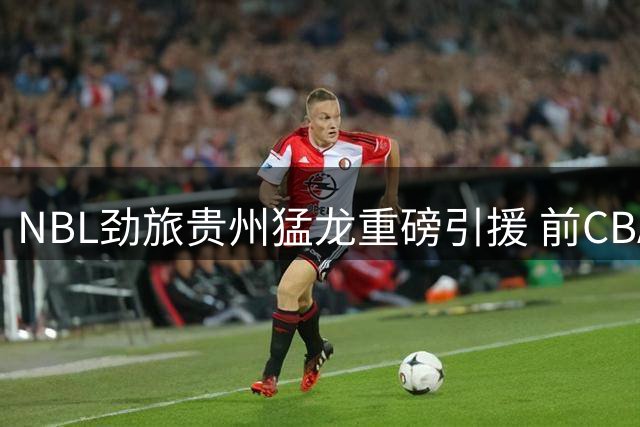 NBL劲旅贵州猛龙重磅引援 前CBA锋线悍将刘冠岑正式加盟